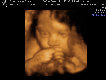 jims_world009006.jpg