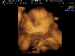 jims_world009007.jpg