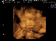 jims_world009011.jpg